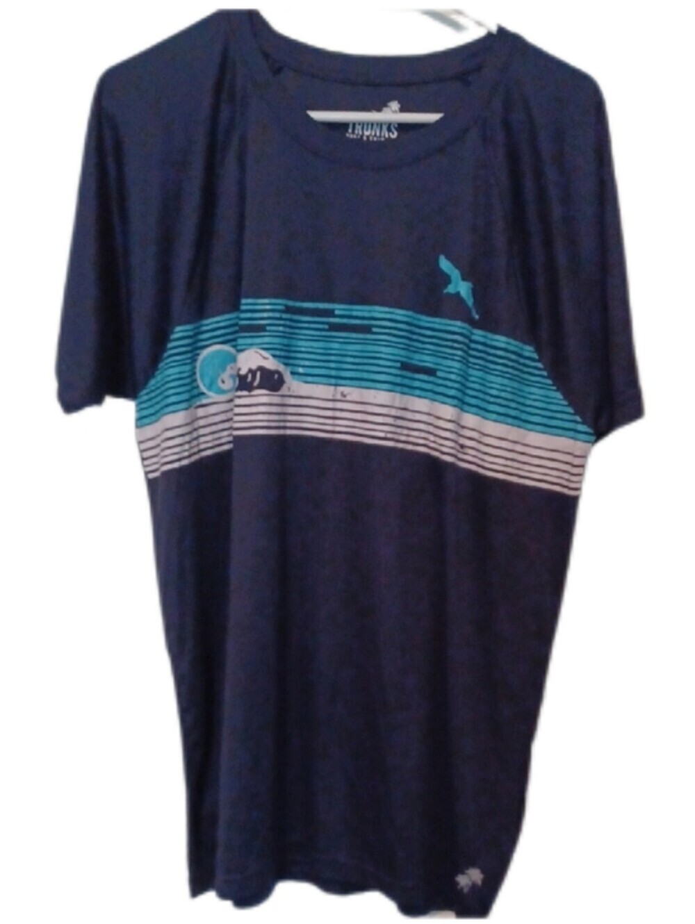 -- Men's Trunks Surf & Swim Co UPF50 Tee with Aqua Stripe and Seagull XL Casual
